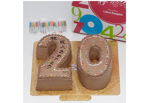 ナンバーケーキ チョコ 8号 24cm イエローパンプキン Cake Jp