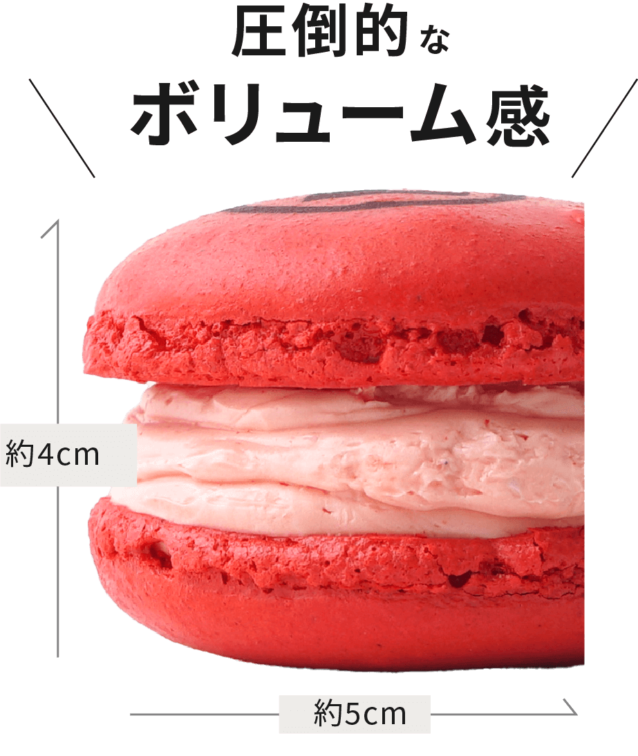 圧倒的なボリューム感!