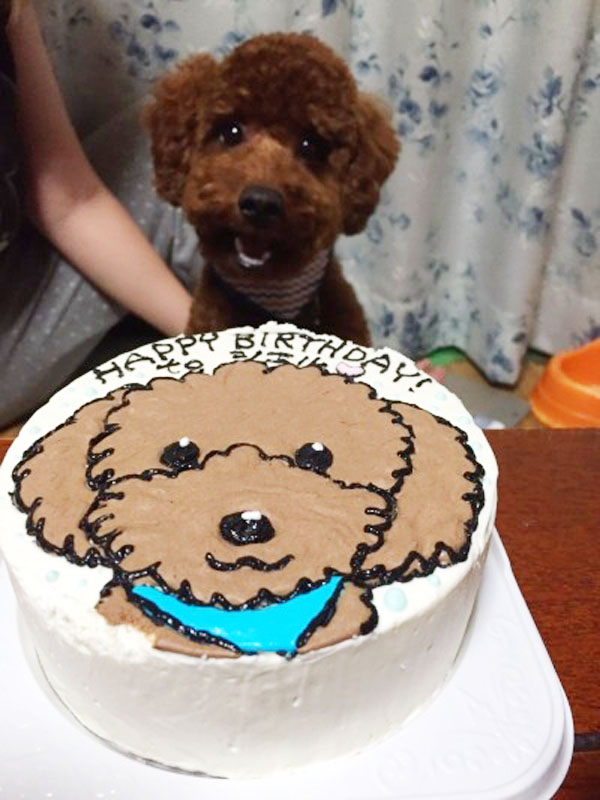 ありがとうの声 犬用似顔絵ケーキで家族も愛犬も嬉しい誕生日に Cake Jp