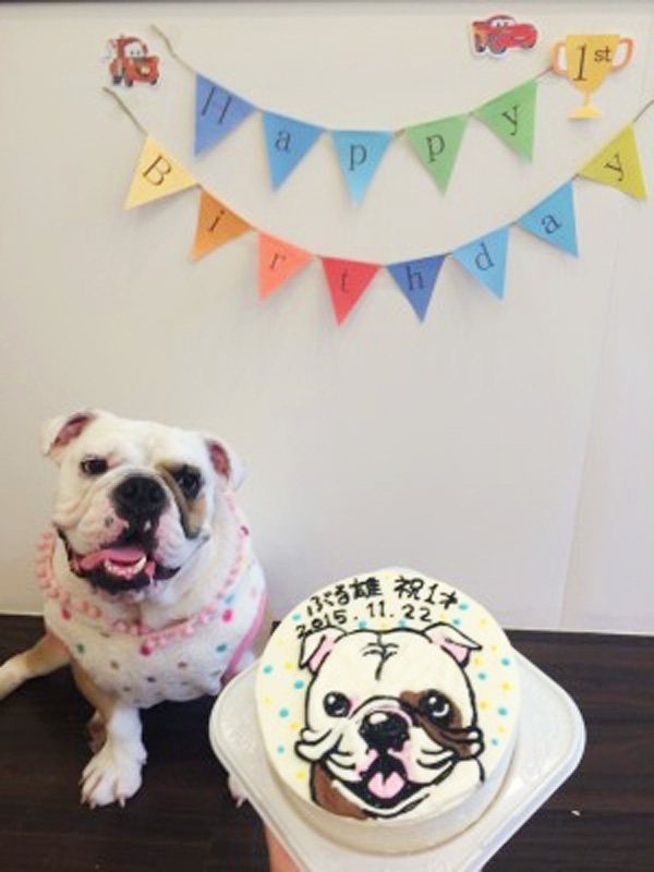 ありがとうの声 犬用似顔絵ケーキでワンちゃん大喜びの誕生日祝い Cake Jp