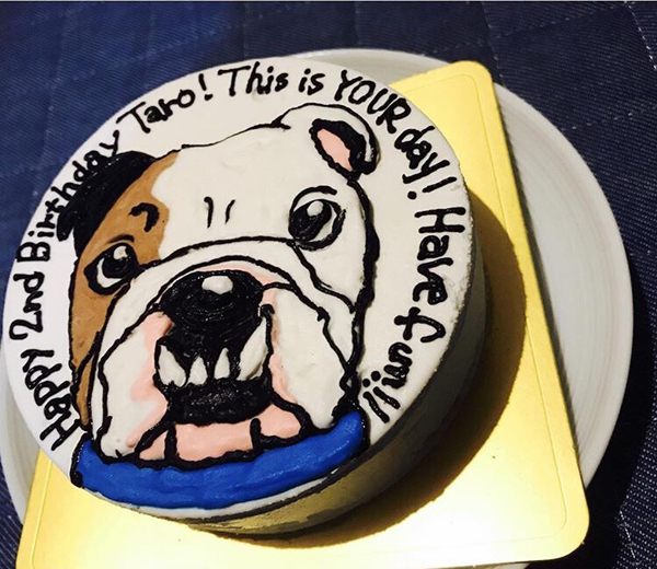 愛犬バースデーは 似顔絵ケーキ で感謝を伝えたい Cake Jp