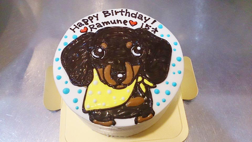 ケーキ制作例まとめ 愛犬の誕生日にぴったりな犬用似顔絵ケーキ Cake Jp