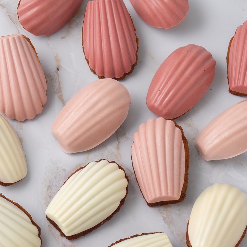 マドレーヌタイム 彩りイチゴ Cake Jp Original Cake Jp マドレーヌタイム 彩りイチゴ Cake Jp Original Cake Jp