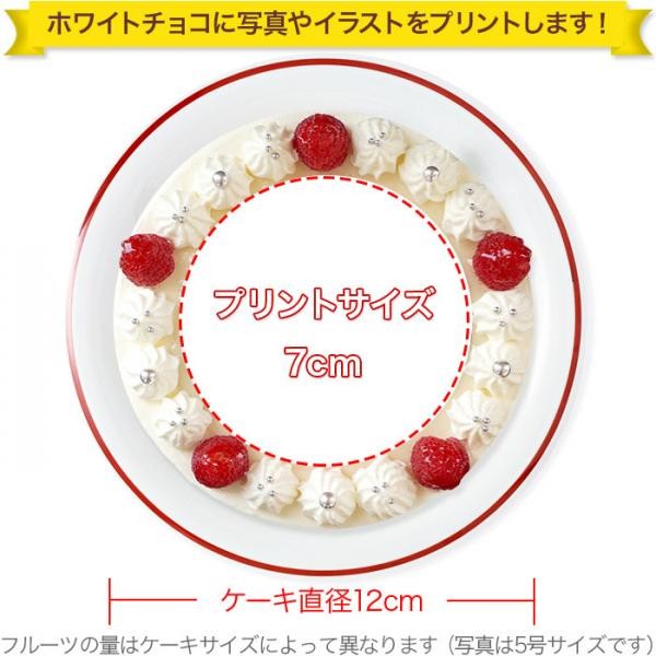 卵不使用の写真ケーキ 4号 12cm Cream 4 P Noegg Cake Express Cake Jp