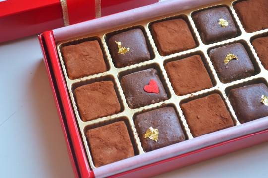 チョコレートベルベット 生チョコ 乳製品 乳化剤 白砂糖不使用 15粒 ホワイトデー22 Coconut Dream Cake Jp