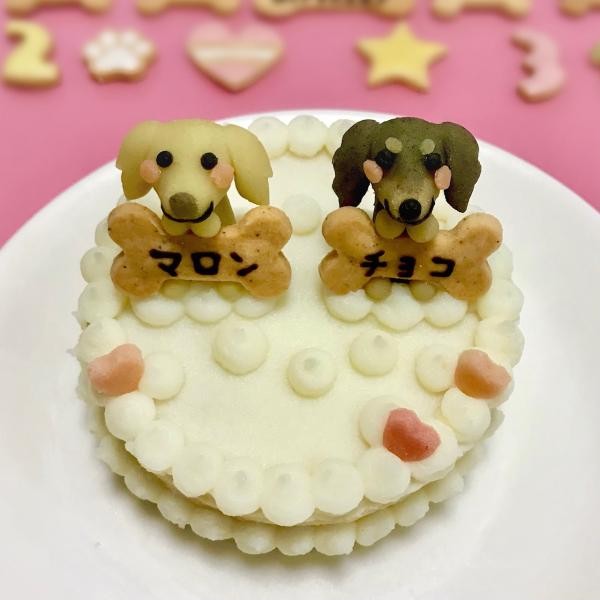 犬用 愛犬マスコットケーキ 米粉スポンジ 8cm わんこケーキ サポートgioia Cake Jp