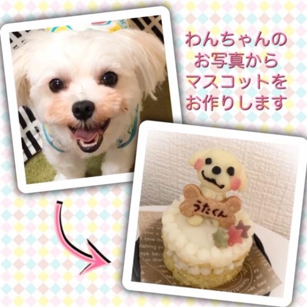 犬用 愛犬マスコットケーキ お肉ケーキ 6cm わんこケーキ サポートgioia Cake Jp
