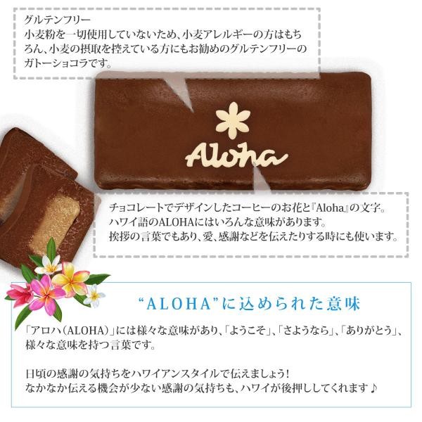 日本初上陸 ロイヤルハワイアンショコラ コナコーヒー 父の日スペシャル 父の日21 ロイヤルハワイアンファクトリー Cake Jp