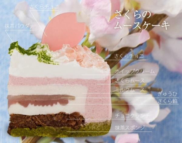 フレシュール春のケーキセット ブラウニーナッツタルト 桜のムースケーキ フレシュール Cake Jp