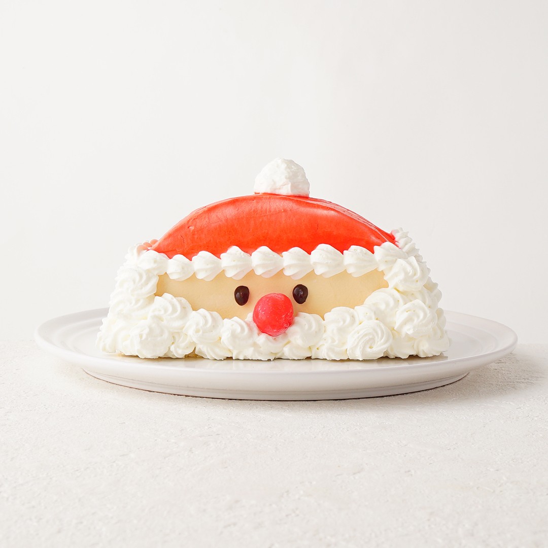 ハーフケーキ サンタクロース 5号ハーフ クリスマス21 Cloud Cake Shop Cake Jp