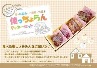 卵 乳 小麦 大豆を 使っちょらんクッキーセット Les Mon Coeur ﾚ ﾓﾝｸｰﾙ Cake Jp