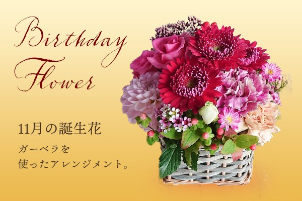 11月のお誕生日向け 11月の誕生花ガーベラを使った バースデーフラワーアレンジメント Mサイズ Flow Cake Jp