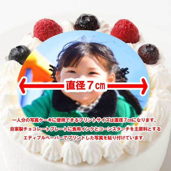 写真ケーキ 3号 9cm サンタアンジェラ Cake Jp