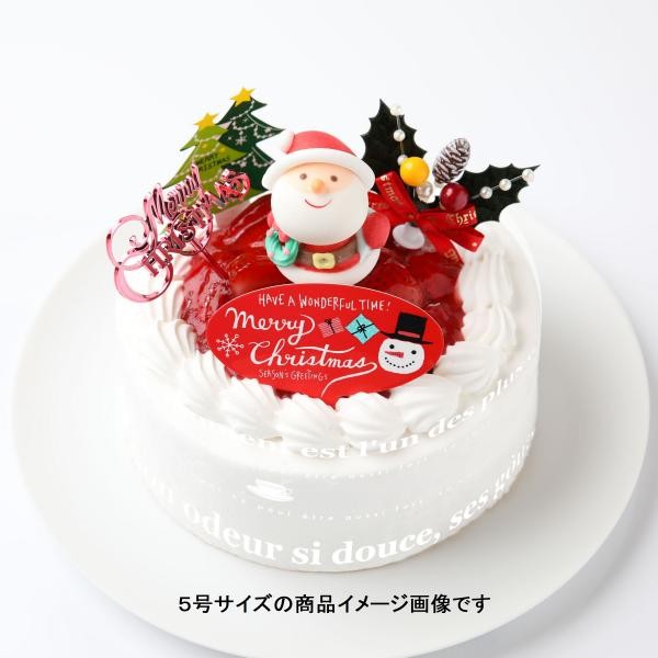 クリスマスケーキ21 乳製品除去 乳製品アレルギー対応用クリスマスケーキ 4号 12cm クリスマス21 サンタアンジェラ Cake Jp