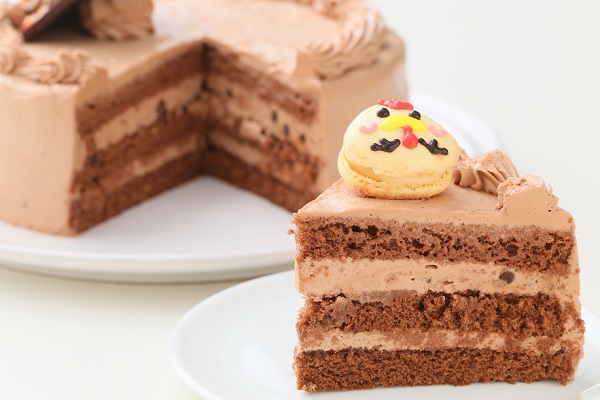 動物マカロンチョコ生ケーキ 5個付き 6号 18cm Sweets Cafe Fika Cake Jp