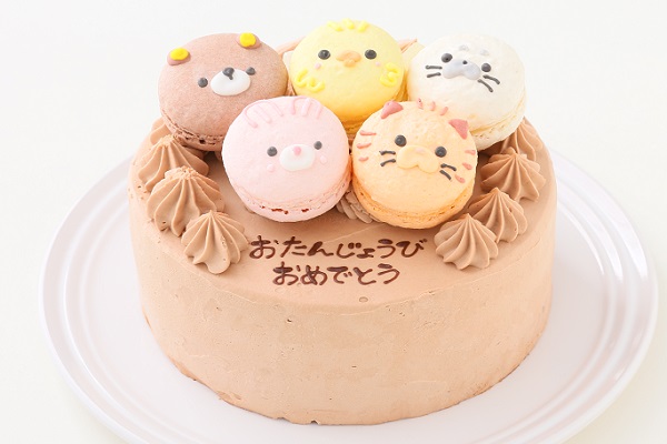 動物さんマカロンチョコクリームケーキ 7号 21cm カトルセゾン菓子夢 Cake Jp