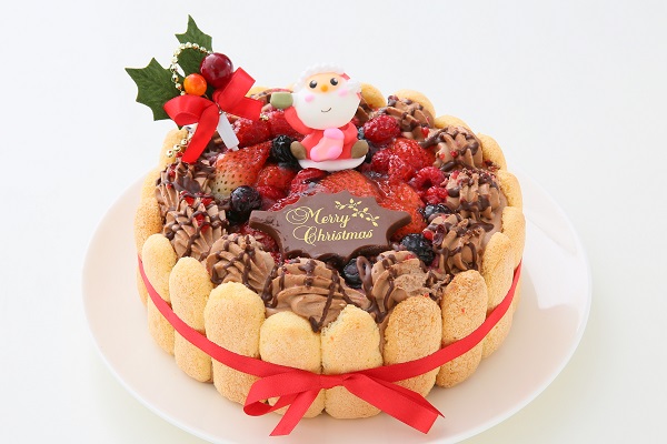 クリスマスケーキ たっぷりベリーのチョコ生クリームデコレーション 3号 9cm パティスリーソンヌフ Cake Jp
