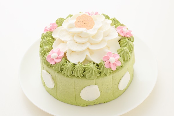 女の子受け抜群 可愛いパステルカラーのケーキをネット通販で買うならこの３つ ネット通販で買える可愛いケーキ