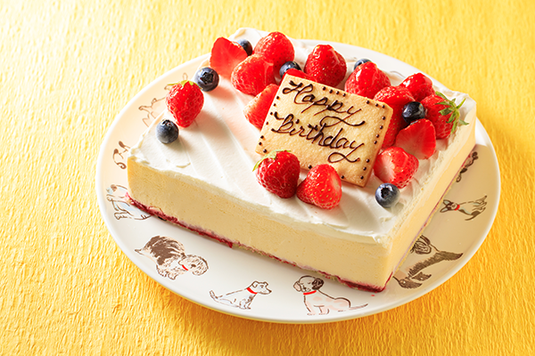 低糖質ケーキ 砂糖不使用 レアチーズ 17x13 5cm 5 5号 スイーツsaccho Cake Jp
