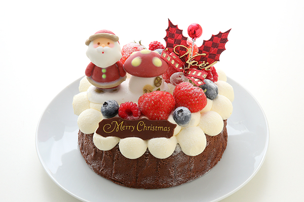 クリスマスケーキ Xmasガトーショコラ ４号 12cm 写真ケーキの店レコロレ Cake Jp