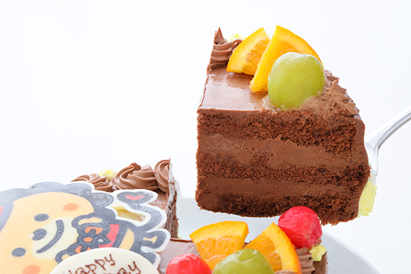 イラストケーキ オリジナルケーキ チョコケーキ 5号 15cm メモラーブル Cake Jp