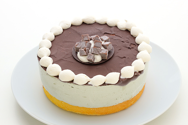 チョコミントアイスケーキ 5号 15cm Patisserie Bon Declic Cake Jp