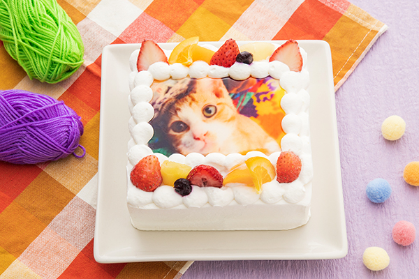 猫耳いちごの写真ケーキ 生クリーム 6号サイズ 18cm 18cm 洋菓子のミロ Cake Jp