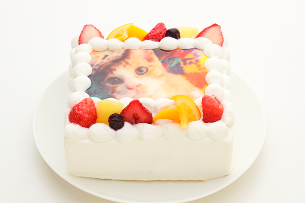 猫耳いちごの写真ケーキ 生クリーム 4号サイズ 12cm 12cm 洋菓子のミロ Cake Jp