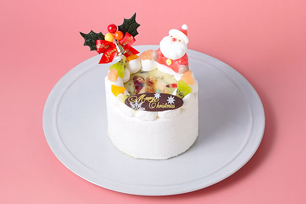 丸型写真ケーキ 3号 9cm クリスマスケーキ Cake Jp Original Cake Jp