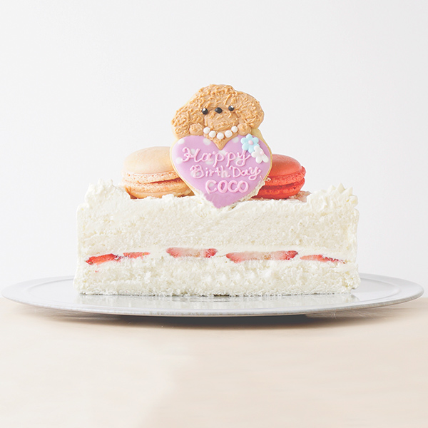 バースデーケーキ 生デコ5号 トイプードル 欧風洋菓子 ル メナジェ Cake Jp