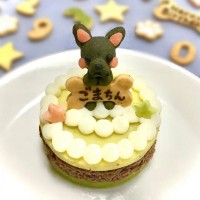 ペット用ケーキ 通販 Cake Jp