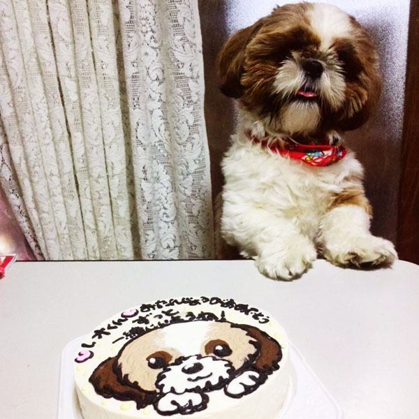 ありがとうの声 犬用の誕生日ケーキで愛犬も大喜びでした Cake Jp