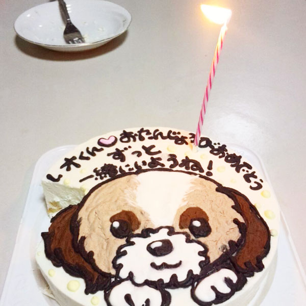 ありがとうの声 犬用の誕生日ケーキで愛犬も大喜びでした Cake Jp