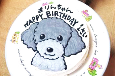 ありがとうの声 犬用ケーキでわんちゃんもわくわくの誕生日 Cake Jp