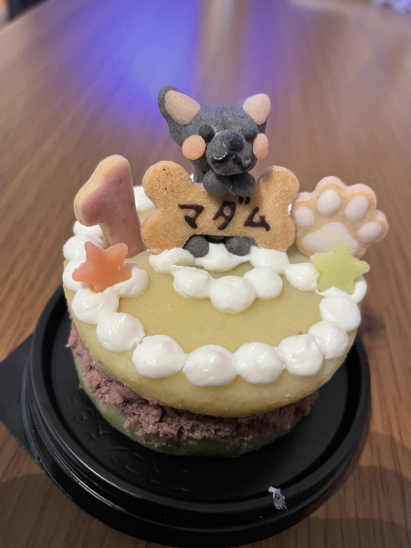 犬用 愛犬マスコットケーキ お肉ケーキ 6cm わんこケーキ サポートgioia Cake Jp 犬用 愛犬マスコットケーキ お肉ケーキ 6cm わんこケーキ サポートgioia Cake Jp