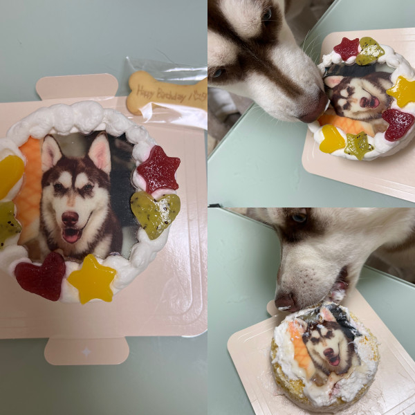 周りの生クリームがとても気に入 口コミ 評判 Cake Jp