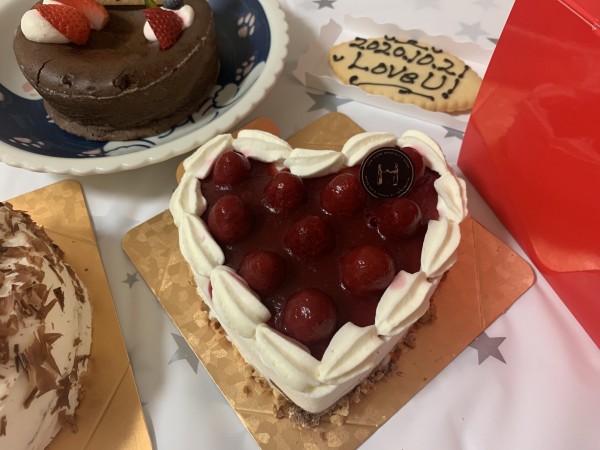 低糖質ケーキ ガトーショコラ 4号 12cm スイーツsaccho Cake Jp