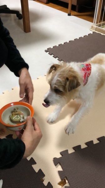 3歳のお誕生日のお祝いにケーキ のレビュー Cake Jp